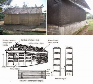 Kumbung Jamur  Sketsa IlmuBudidaya com