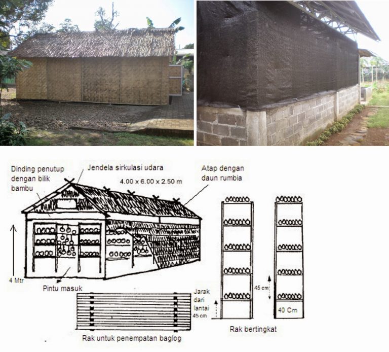 Kumbung Jamur Sketsa