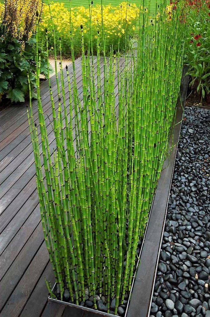  bambu air  IlmuBudidaya com