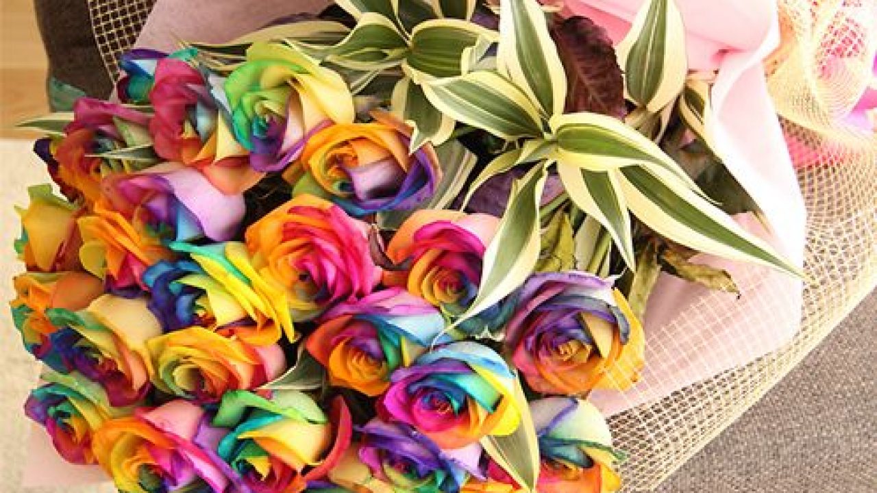 18 Gambar  Bunga  Mawar Tanpa  Warna  Richa Gambar 