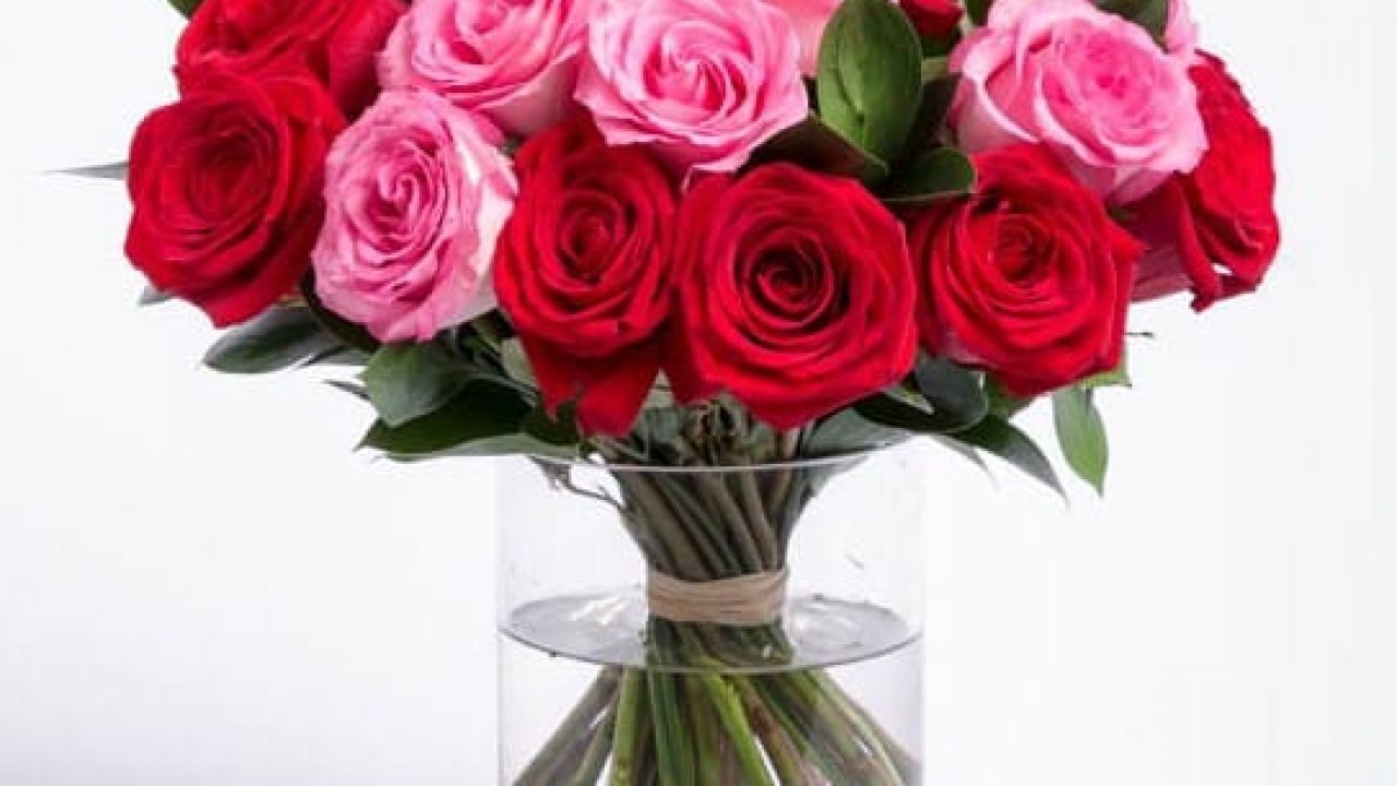 4 Cara Merawat Buket Bunga Mawar Asli Agar Tetap Segar