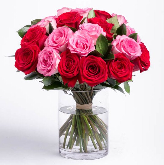 Ini Dia! 16+ Cara Merawat Tanaman Bunga Mawar Yang Layu Terbaik