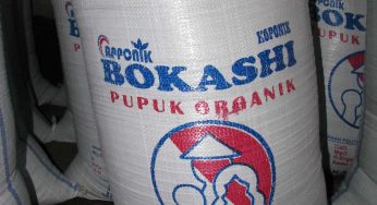 6 Cara Membuat Pupuk Bokashi dari Kotoran Sapi