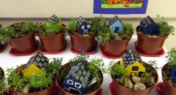 Cara Membuat Taman Bunga di Kelas Sekolah yang Sederhana dan Indah
