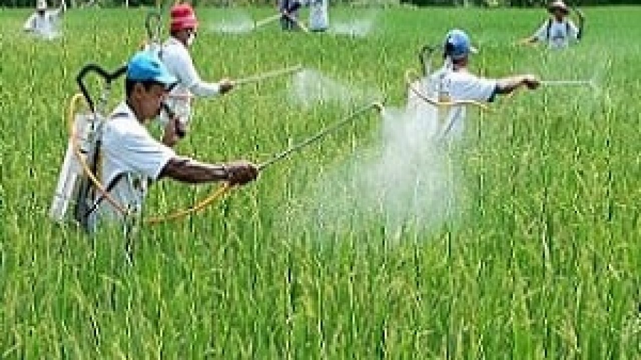 Penyemprotan hama dengan pestisida dapat memberikan dampak negatif terhadap lingkungan sebab