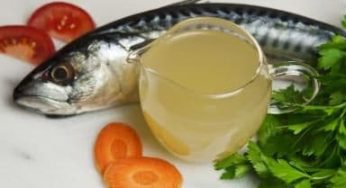 Cara Membuat Pupuk POC dari Kaldu Ikan – Tips Budidaya