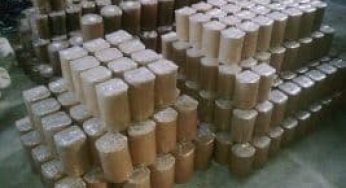 5 Cara Budidaya Baglog Jamur Tiram yang Pasti Menguntungkan