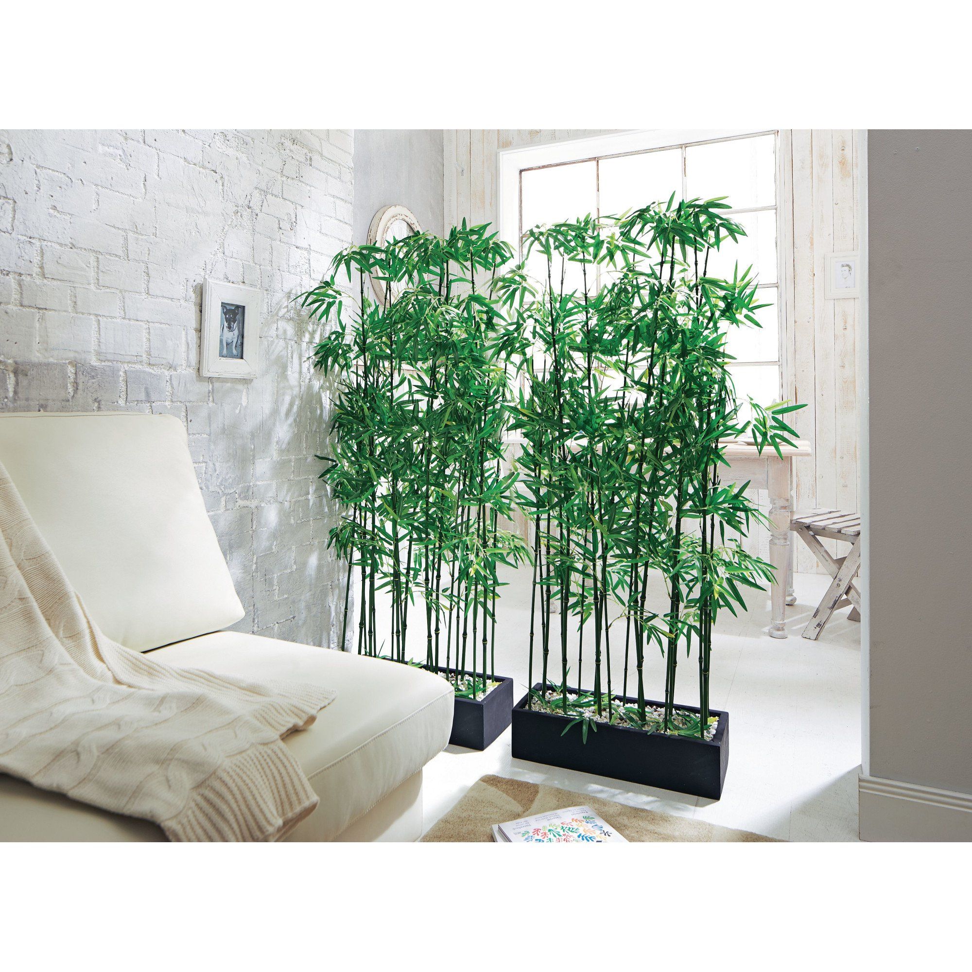 tanaman dinding bambu  2 IlmuBudidaya com