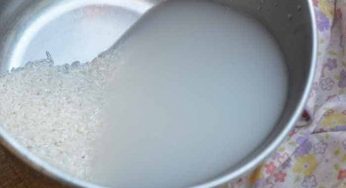 Manfaat Air Cucian Beras untuk Tanaman Kacang Hijau Agar Subur