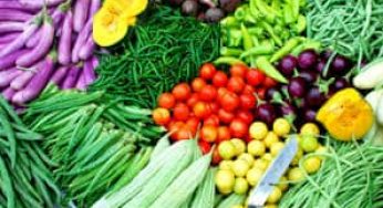 Jenis Tanah yang Cocok untuk Hortikultura dan Cara Menanam