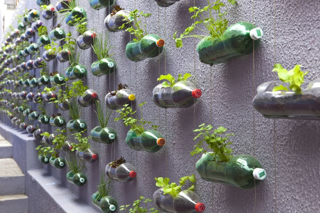 Cara Membuat Vertical Garden dari Botol Bekas yang Mudah dan Praktis