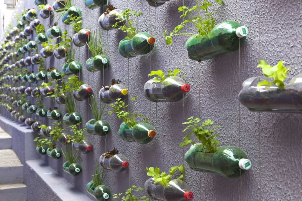 Cara Membuat dan Merawat Vertical Garden dari  Botol  Bekas  