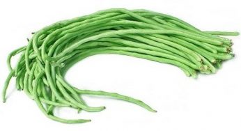 Cara Memilih Benih Kacang Panjang yang Unggul Ditanam