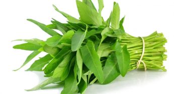 Cara Memilih Bibit Kangkung Yang Bagus untuk Ditanam