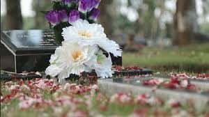 Bunga Yang Sesuai Ditanam Di Pemakaman