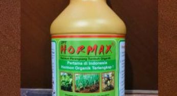 Kegunaan Pupuk Hormax dan Cara Aplikasinya