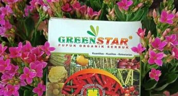 Kegunaan Pupuk Greenstar dan Cara Menggunakannya