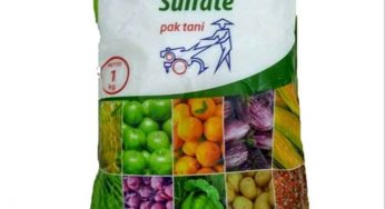 Kegunaan Pupuk Magnesium Sulfat bagi Tanaman dan Cara Menggunakannya